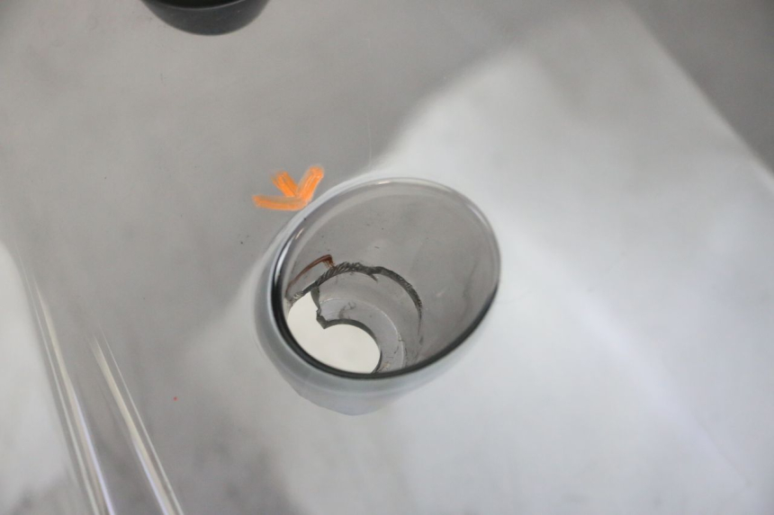 photo de PARE BRISE YAMAHA YP MAJESTY 125 (2002 - 2006) - Caratteristiche distintive