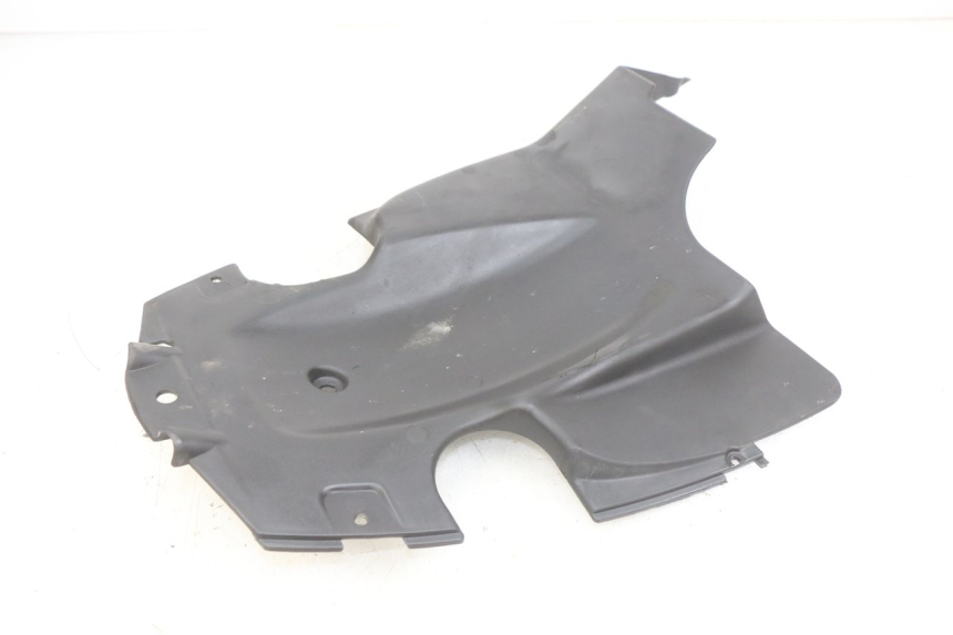 photo de PASSARUOTA POSTERIORE APRILIA SCARABEO LIGHT 125 (2007 - 2011)