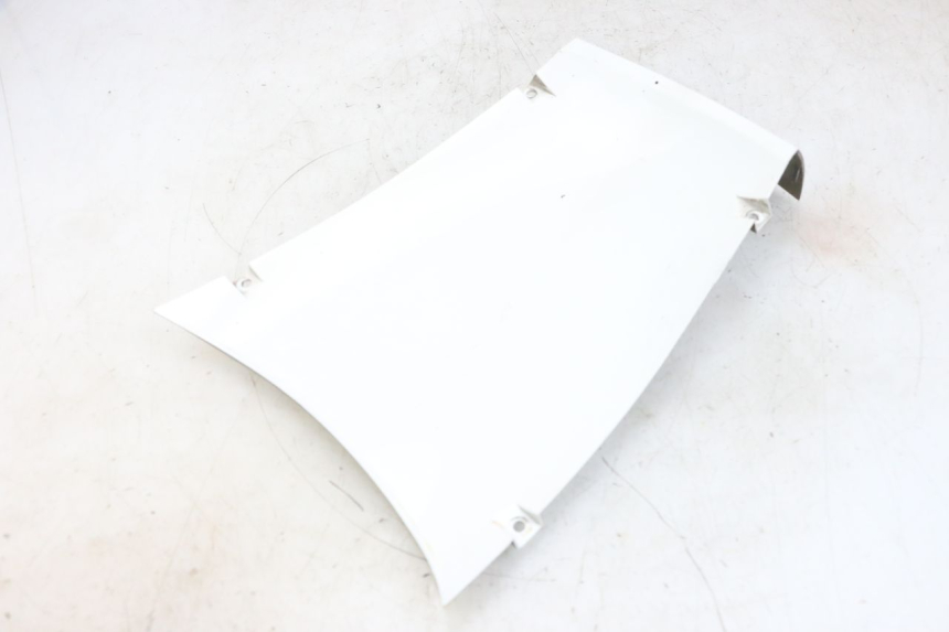 photo de SOTTOSCUDO PARASPRUZZI PEUGEOT TWEET PRO EFI 4T 50 (2021 - 2022)