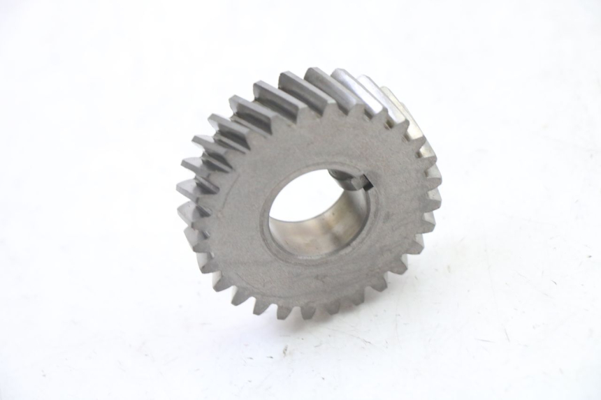 photo de PIGNONE SUZUKI GS GSE 500 (2001 - 2003)