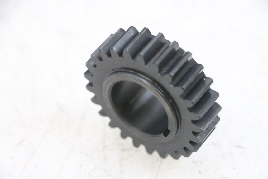 photo de PIGNONE DAELIM S1 125 (2007 - 2016) - Dettaglio del componente