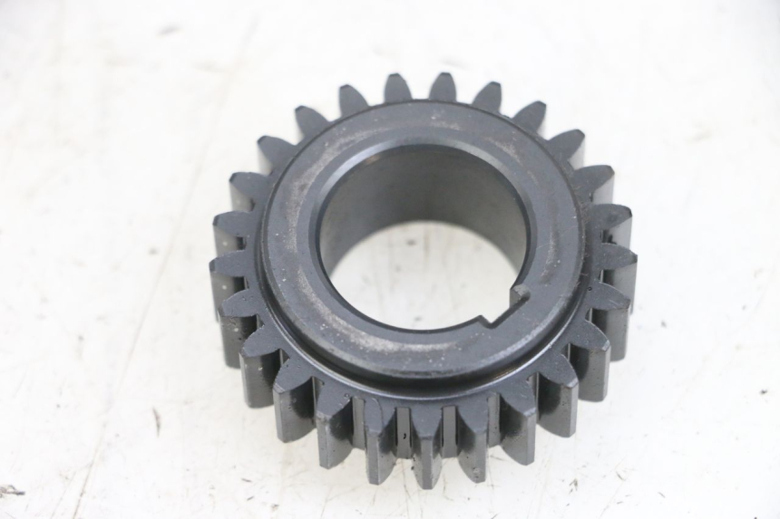 photo de PIGNONE DAELIM S1 125 (2007 - 2016) - Altra angolazione