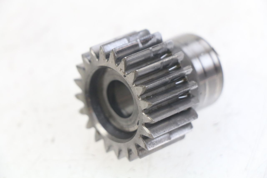 photo de PIGNONE TRASMISSIONE GAS-GAS SM ROOKIE 50 (2001 - 2005)