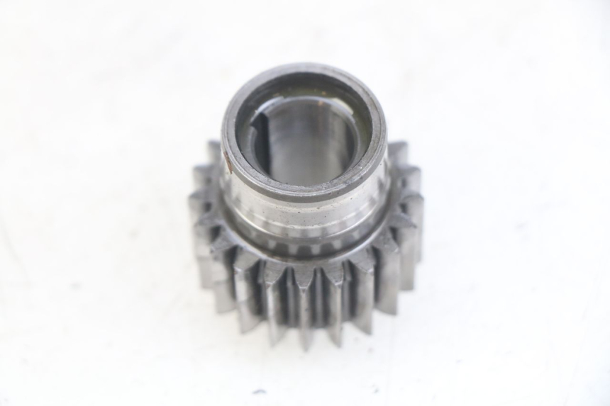 photo de PIGNONE TRASMISSIONE GAS-GAS SM ROOKIE 50 (2001 - 2005)