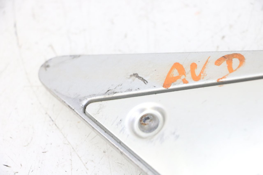 photo de PEDANA ANTERIORE DESTRA SUPPORTO YAMAHA FZ6 FAZER S2 600 (2007 - 2011)