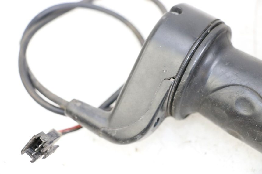 photo de ACCELERATORE DOLPHIN PYGMY 1 (2020 - 2024)