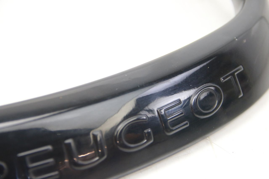 photo de MANIGLIA POSTERIORE PEUGEOT CITYSTAR 2T 50 (2018 - 2021)