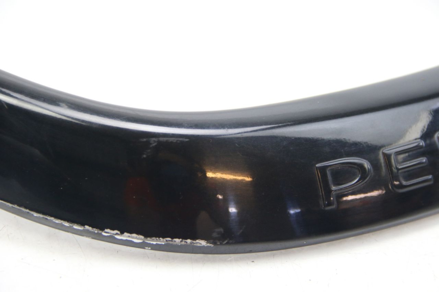 photo de MANIGLIA POSTERIORE PEUGEOT CITYSTAR 2T 50 (2018 - 2021)