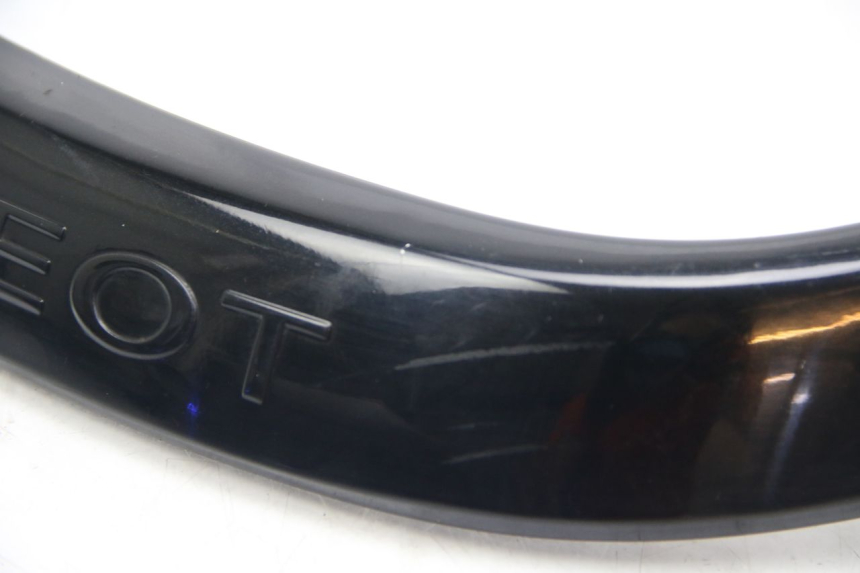 photo de MANIGLIA POSTERIORE PEUGEOT CITYSTAR 2T 50 (2018 - 2021)