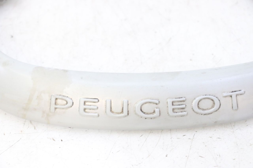 photo de MANIGLIA POSTERIORE PEUGEOT CITYSTAR 50 (2013 - 2017)