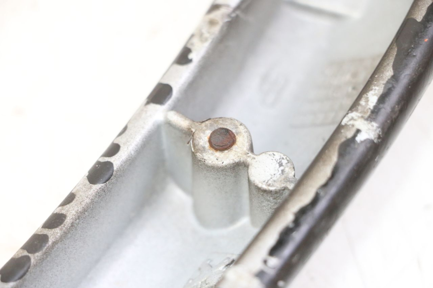 photo de MANIGLIA POSTERIORE PEUGEOT CITYSTAR 50 (2013 - 2017)