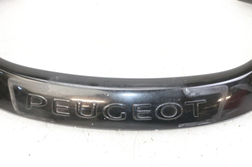 photo de MANIGLIA POSTERIORE PEUGEOT CITYSTAR 2T 50 (2018 - 2021)