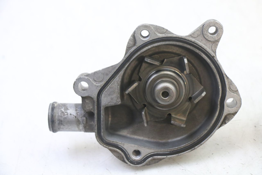 photo de POMPA ACQUA HONDA NTV DEAUVILLE 650 (2001 - 2006)