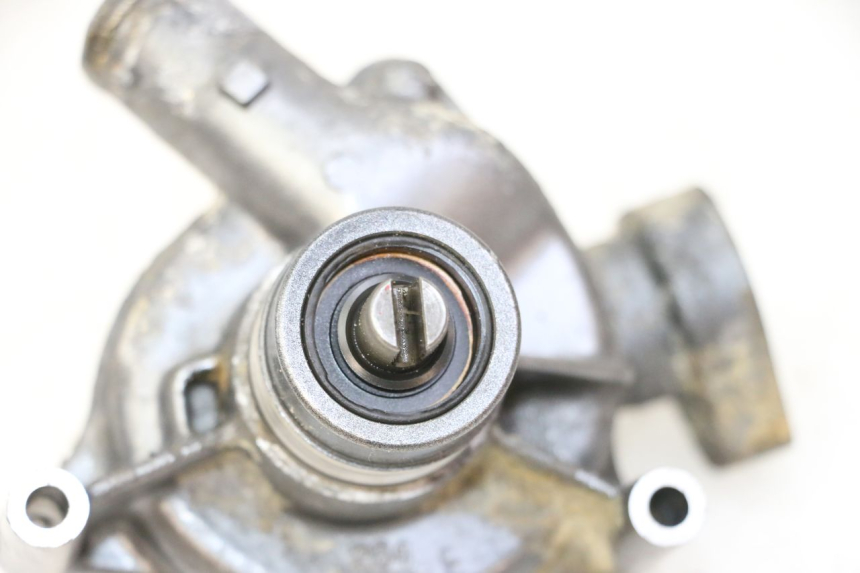 photo de POMPA ACQUA TRIUMPH SPRINT 900 (1995 - 1998)