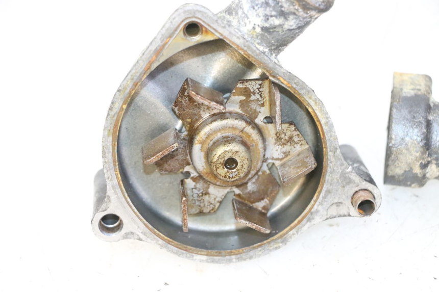 photo de POMPA ACQUA TRIUMPH SPRINT 900 (1995 - 1998)
