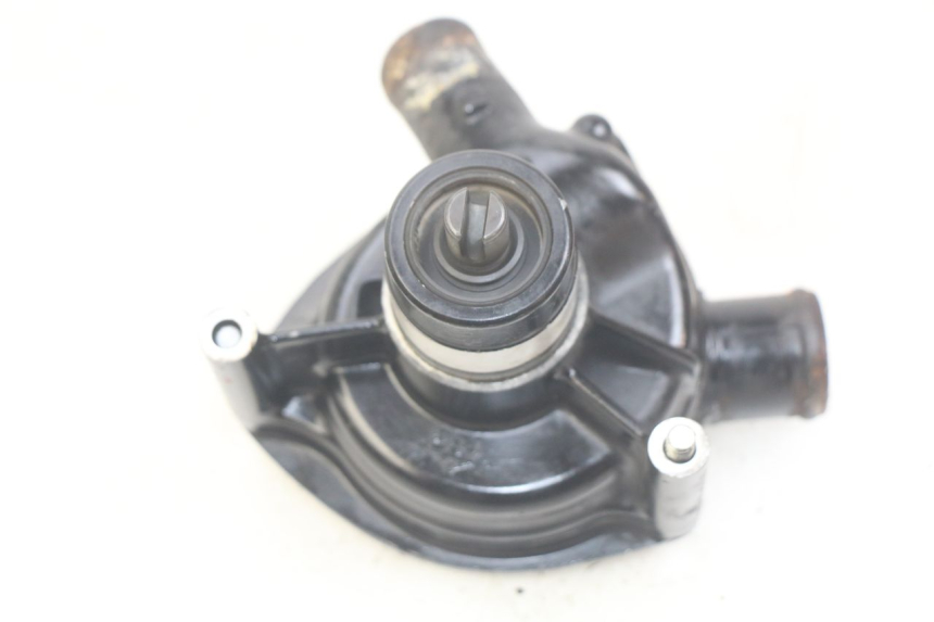 photo de POMPA ACQUA TRIUMPH SPRINT ST 955 (1999 - 2001)