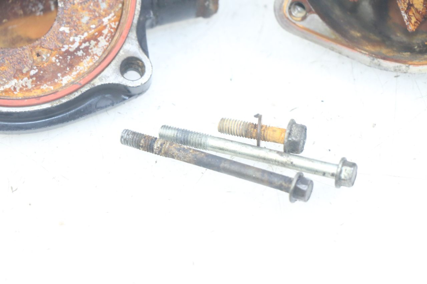 photo de POMPA ACQUA TRIUMPH SPRINT ST 955 (1999 - 2001)