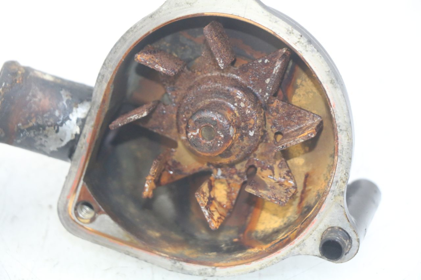 photo de POMPA ACQUA TRIUMPH SPRINT ST 955 (1999 - 2001)