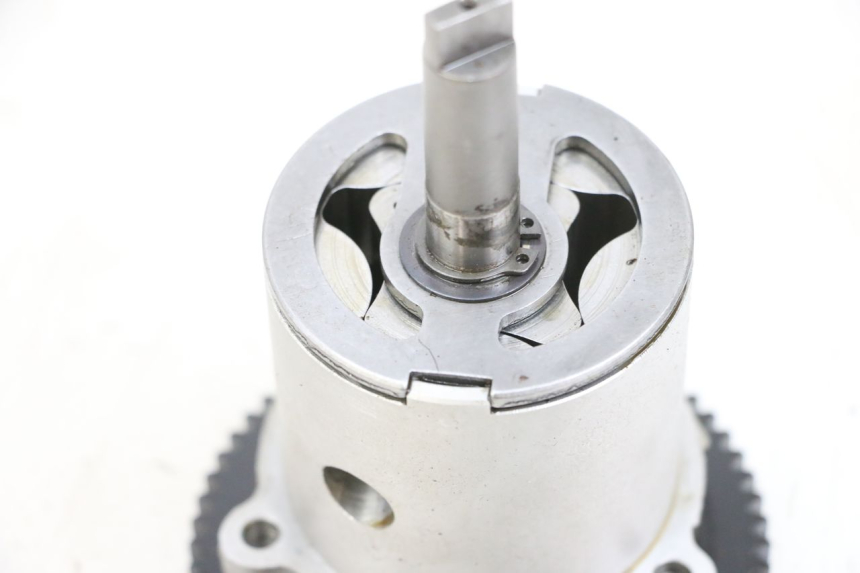 photo de POMPA OLIO MV AGUSTA BRUTALE R WALLY 910 (2008 - 2008) - Dettaglio del componente