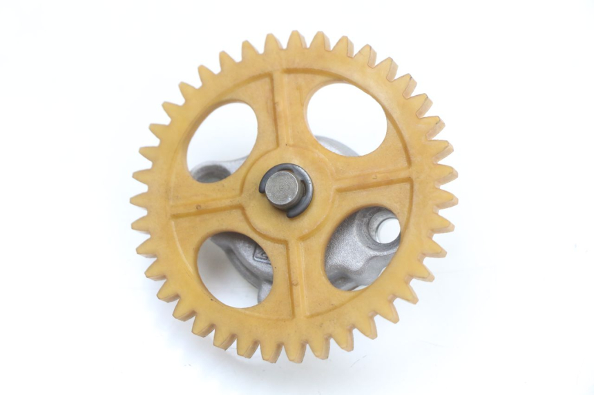 photo de POMPA OLIO LONGJIA EASY MAX 125 (2020 - 2024)