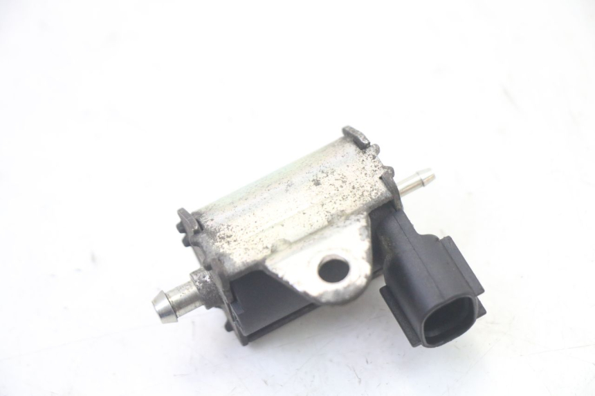 photo de POMPA OLIO PEUGEOT ELYSTAR 50 (2002 - 2014)