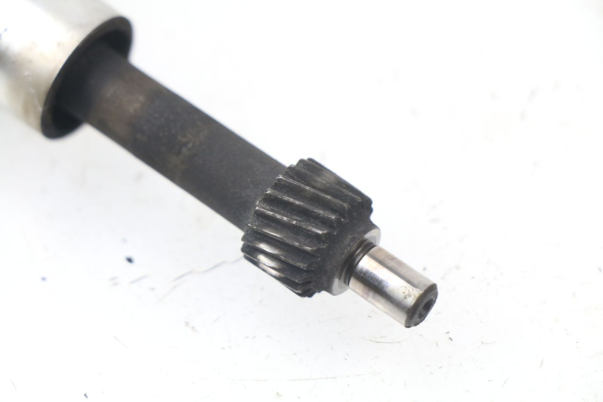 photo de POMPA OLIO HONDA BALI EX 100 (1996 - 2000)