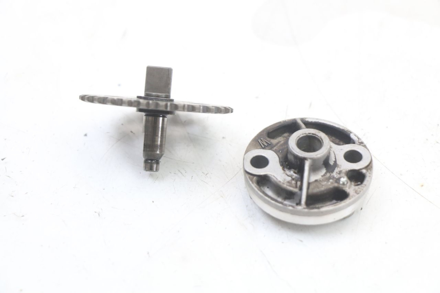 photo de POMPA OLIO HONDA NES AROBASE 125 (2000 - 2003)