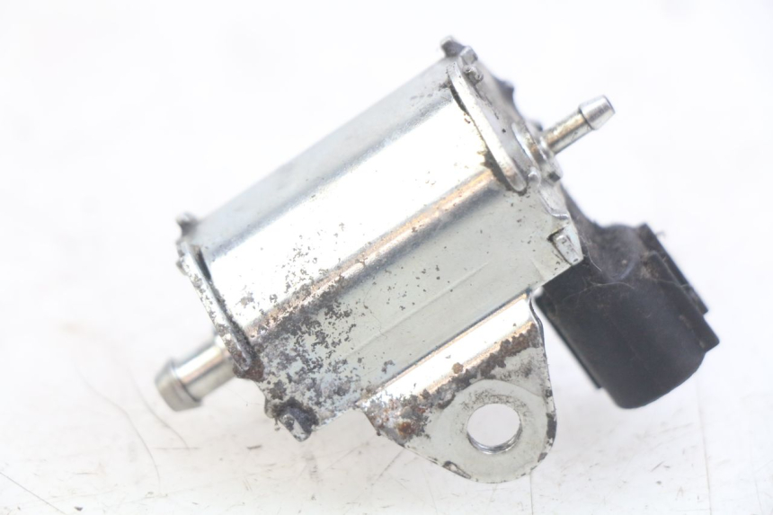 photo de POMPA OLIO PEUGEOT LUDIX 50 (2005 - 2007)