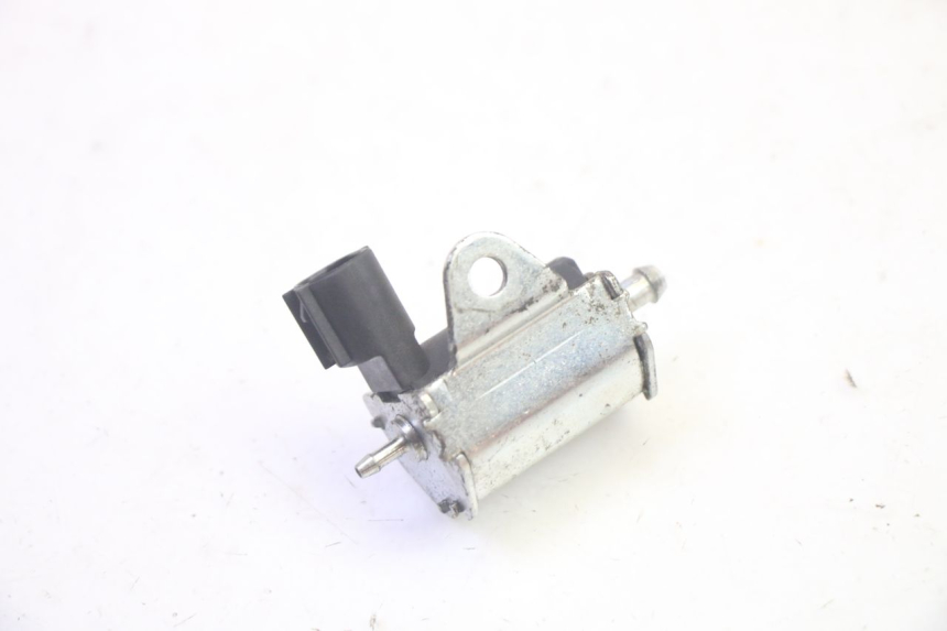 photo de POMPA OLIO PEUGEOT LUDIX 50 (2005 - 2007) - Primo piano tecnico