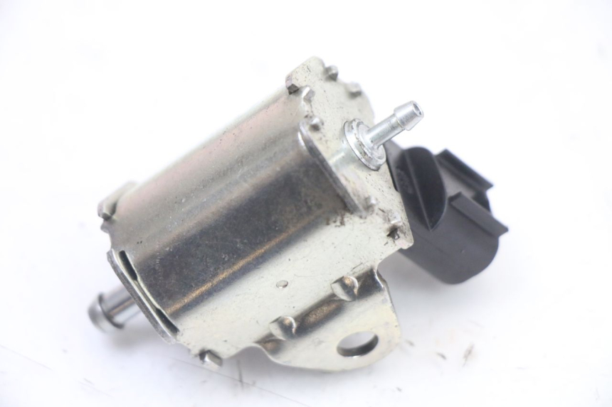 photo de POMPA OLIO PEUGEOT CITYSTAR 50 (2013 - 2017)