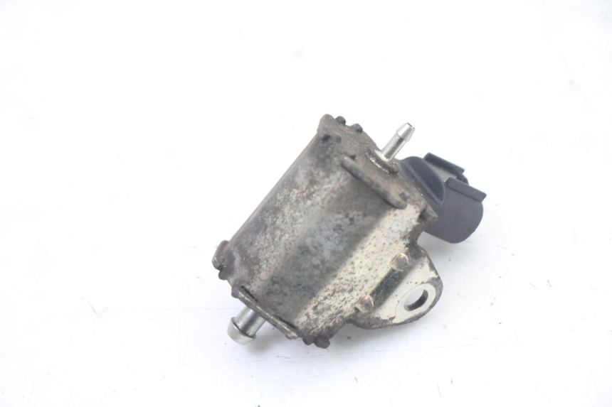 photo de POMPA OLIO PEUGEOT ELYSTAR 50 (2002 - 2014)