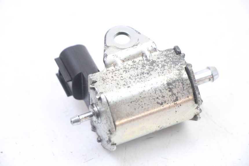 photo de POMPA OLIO PEUGEOT LUDIX 50 (2008 - 2017)