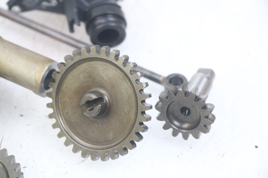 photo de POMPA OLIO TRIUMPH SPRINT ST 955 (1999 - 2001)