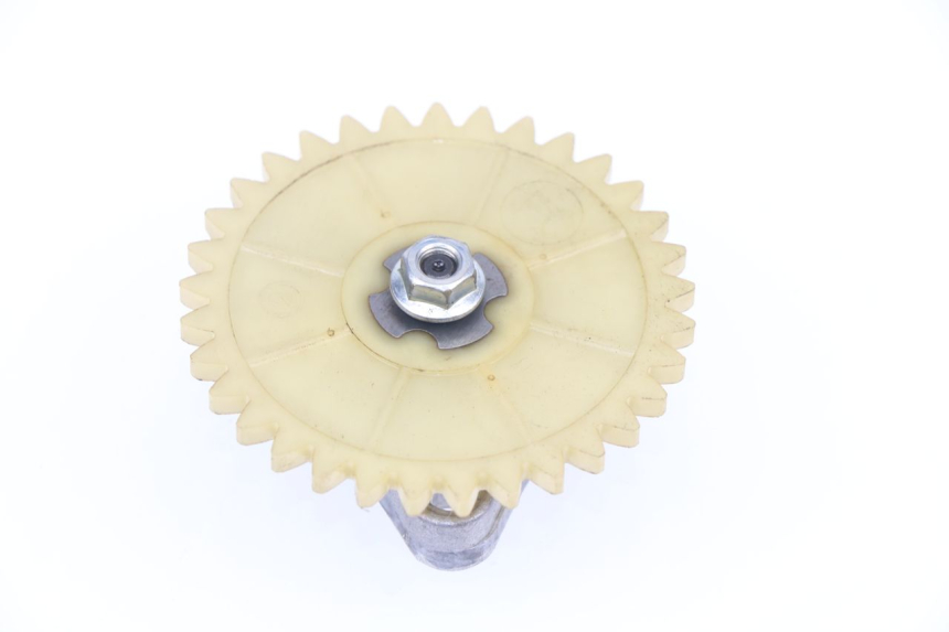 photo de POMPA OLIO TNT MOTOR ROMA 10' 4T 50 (2007 - 2018)