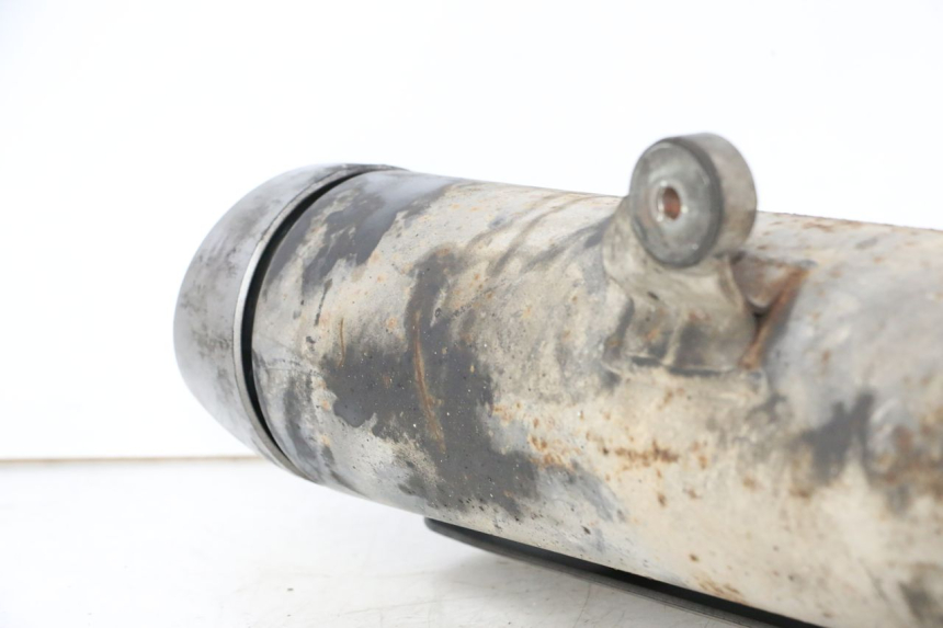 photo de SCARICO SUZUKI BURGMAN 125 (2007 - 2014)