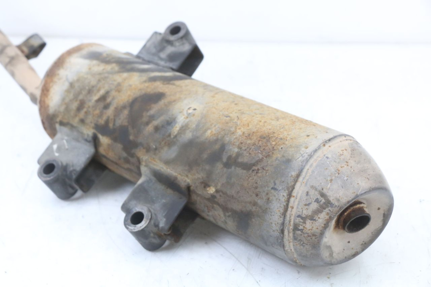 photo de SCARICO LONGJIA EASY MAX 125 (2020 - 2024)