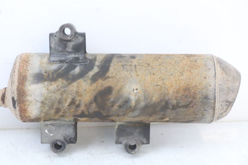 photo de SCARICO LONGJIA EASY MAX 125 (2020 - 2024)