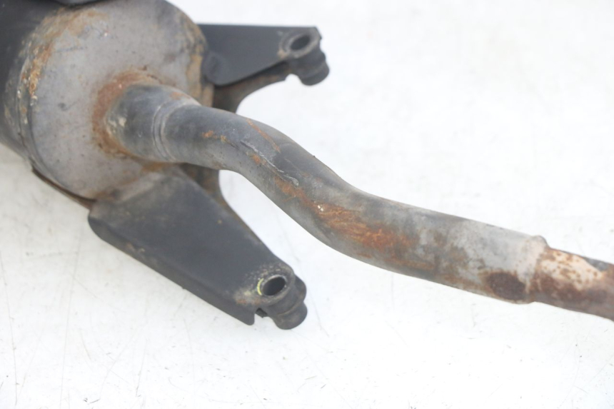 photo de SCARICO JM MOTORS EVOLIS 4T 50 (2018 - 2022)