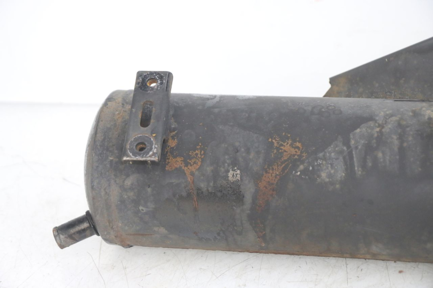 photo de SCARICO TNT MOTOR FASTINO 4T 50 (2013 - 2019)