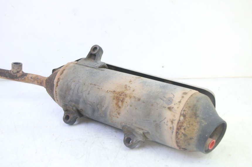 photo de SCARICO HONDA FES S-WING SWING ABS 125 (2007 - 2015)