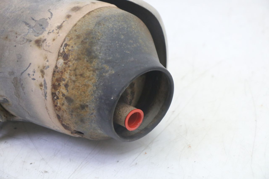 photo de SCARICO HONDA FES S-WING SWING ABS 125 (2007 - 2015)