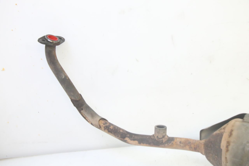 photo de SCARICO HONDA FES S-WING SWING ABS 125 (2007 - 2015)