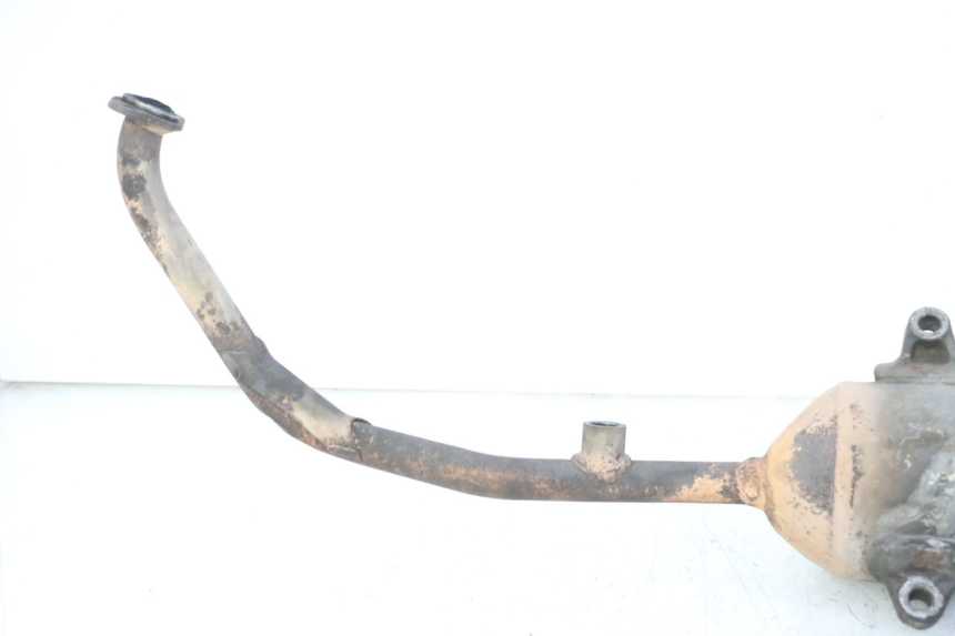 photo de SCARICO HONDA FES S-WING SWING ABS 125 (2007 - 2015)