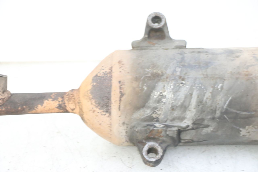 photo de SCARICO HONDA FES S-WING SWING ABS 125 (2007 - 2015)