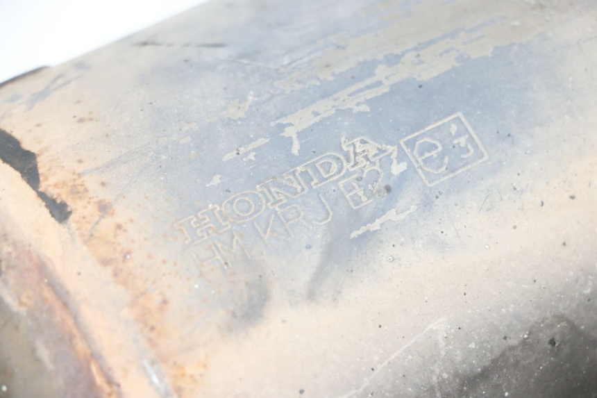 photo de SCARICO HONDA FES S-WING SWING ABS 125 (2007 - 2015)