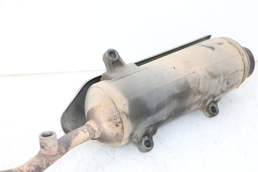 photo de SCARICO HONDA FES S-WING SWING ABS 125 (2007 - 2015)