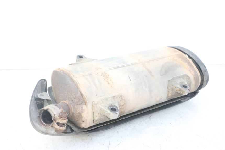 photo de SCARICO HONDA FORZA ABS 300 (2013 - 2019)