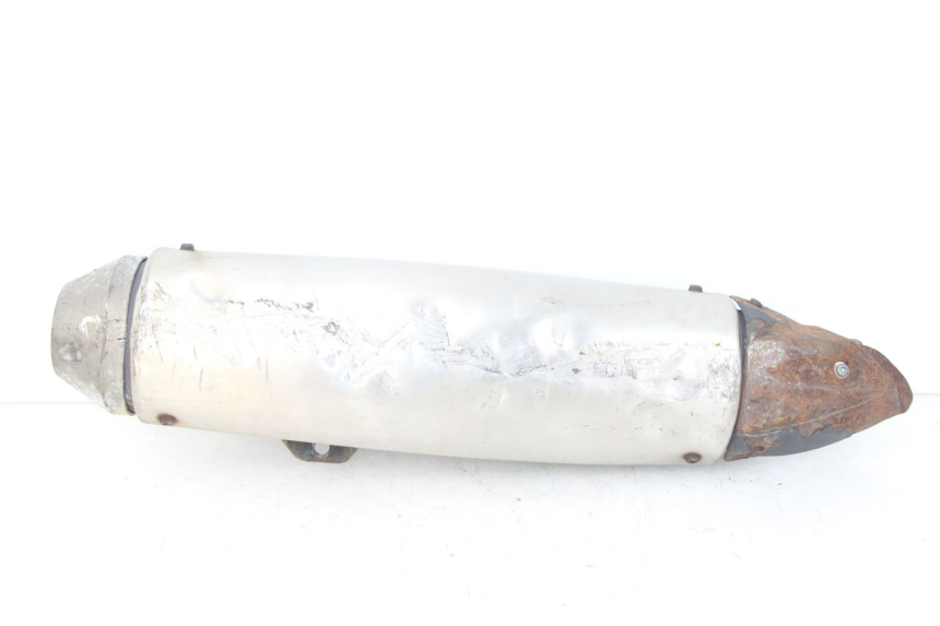 photo de SCARICO PEUGEOT GEOPOLIS RS 125 (2007 - 2009)