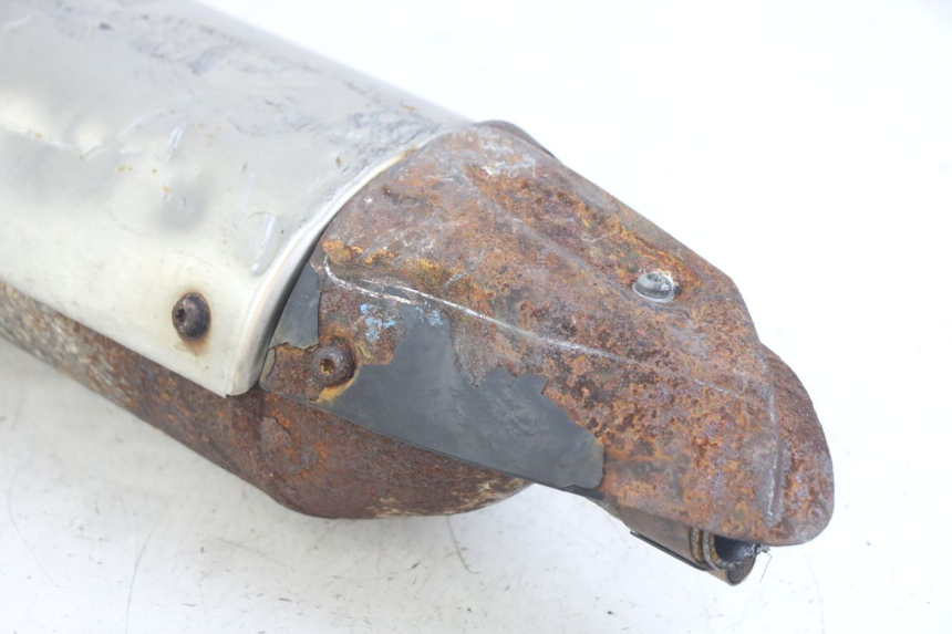 photo de SCARICO PEUGEOT GEOPOLIS RS 125 (2007 - 2009)