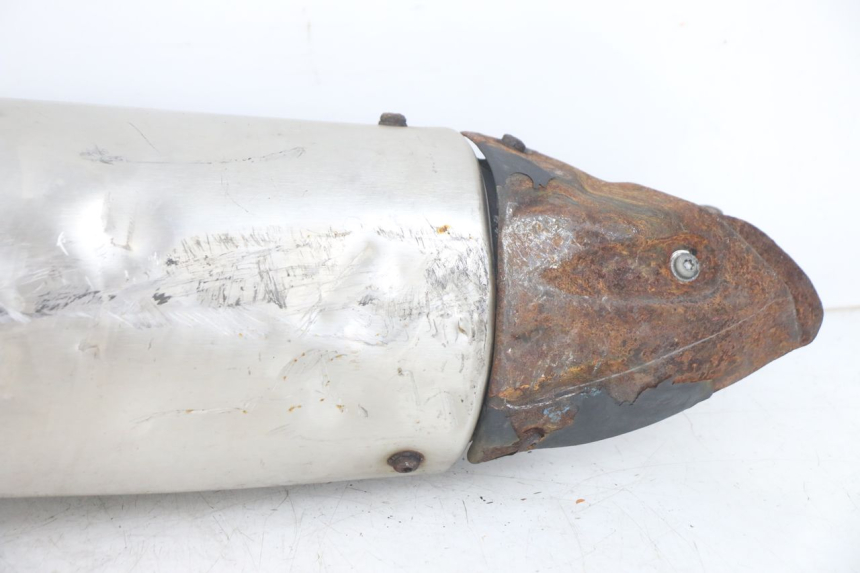 photo de SCARICO PEUGEOT GEOPOLIS RS 125 (2007 - 2009)